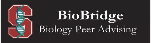 BioBridge Logo